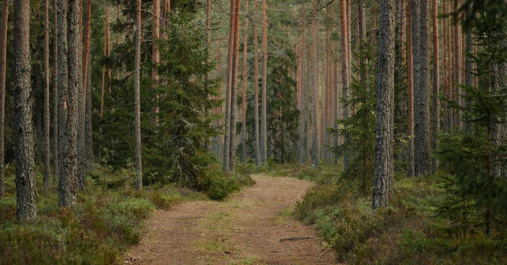 Eri suuntiin erkanevat reitit kuvaamassa työntekijän ja työnantajan teiden erkanemista työsuhteen päättyessä