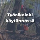 Metsätyöntekijä suojavarusteissa Kainuun syysmetsässä – työaikalaki koskee myös ulkotyötä.