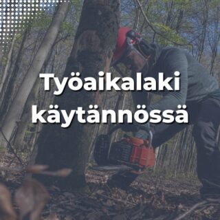 Metsätyöntekijä suojavarusteissa Kainuun syysmetsässä – työaikalaki koskee myös ulkotyötä.